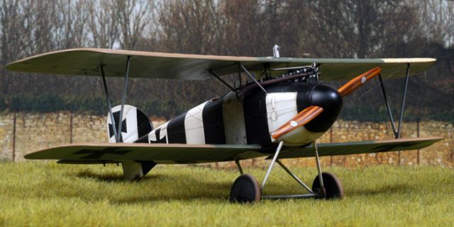 albatros.jpg